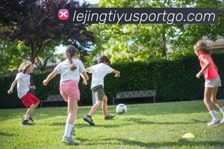 乐竟体育平台生态图